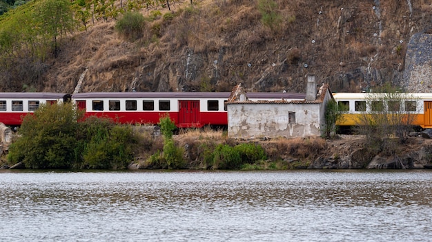 Treno in movimento lungo il fiume en Portogallo