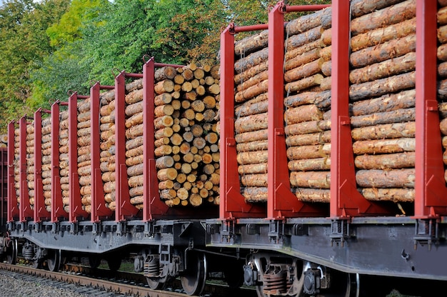 Treno merci caricato con tronchi di pino