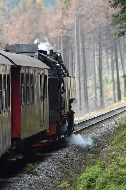 Treno su binari ferroviari