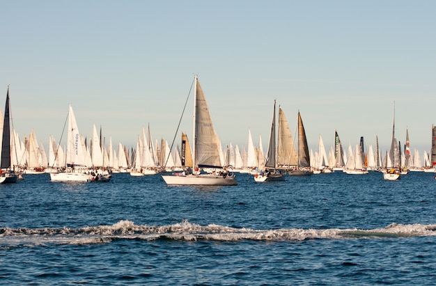 Trieste, Barcolana 2009 - La regata di Trieste