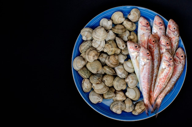 Triglia e vongole rosse fresche o crostacei sul piatto blu. Concetto di pesce mediterraneo