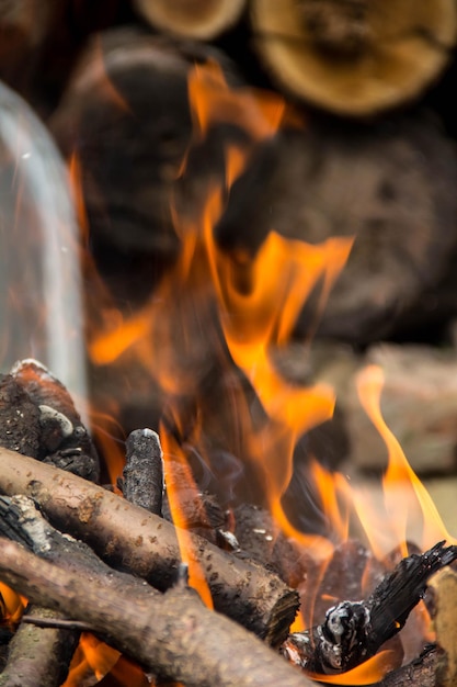 Tronchi ardenti in un braciere Le fiamme sullo sfondo della legna raccolta