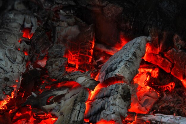 Tronchi bruciati bruciati in un fuoco vivo da vicino Sfondo atmosferico con fiamma di fuoco