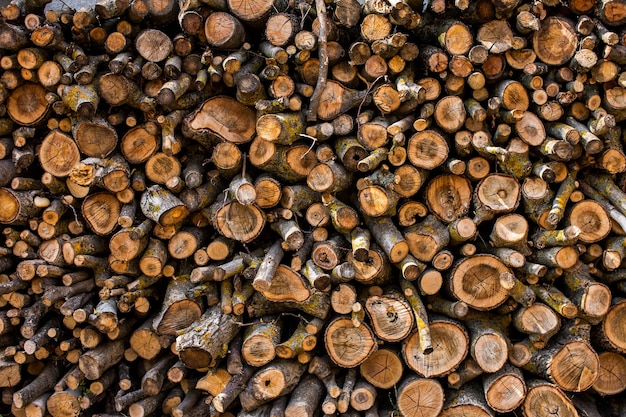 Tronchi di legno piegati Tagliare la legna per l'inverno Sezione trasversale dell'albero Sfondo in legno