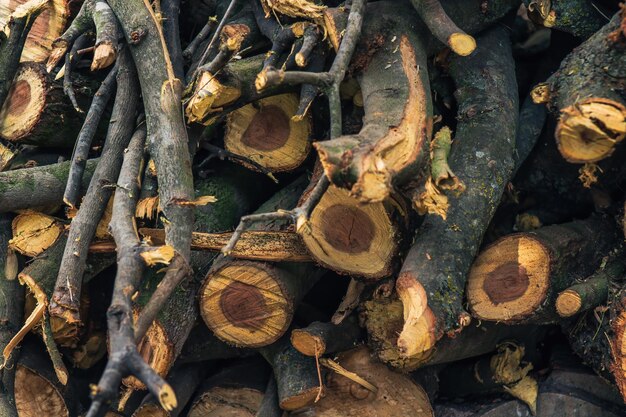 tronchi di legno tagliati e impilati