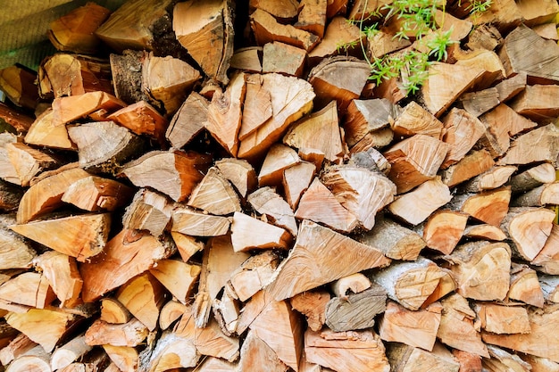 Tronchi tagliati per legna da ardere tagliata a fuoco invernale