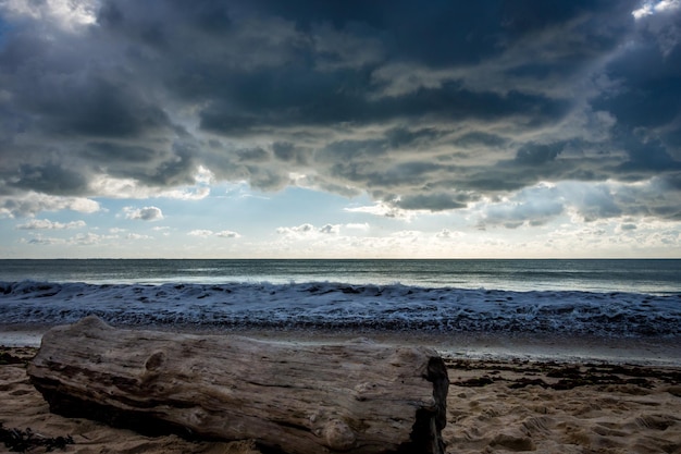 Tronco d'albero su una spiaggia e vista sul mare nuvoloso al tramonto