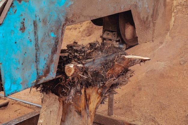 Tronco dell'albero di taglio della segatrice alla fabbrica di produzione di legno Lavorazione e taglio del materiale del legname alla segheria