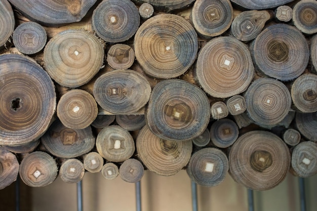 Tronco di legno tagliato in pezzi sottili rotondi