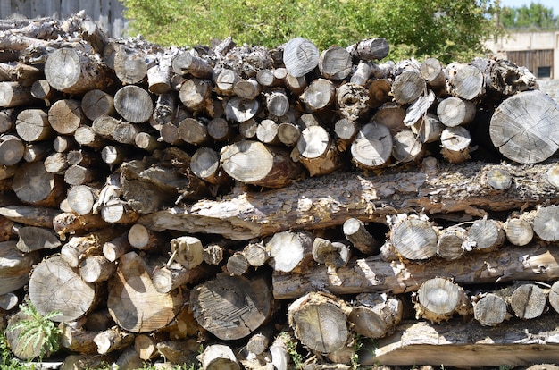 troncos de madera apilados para chimenea