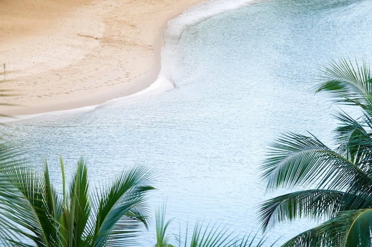 Tropical beach