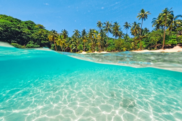 Tropical Island Palm e snorkeling subacqueo nel mare