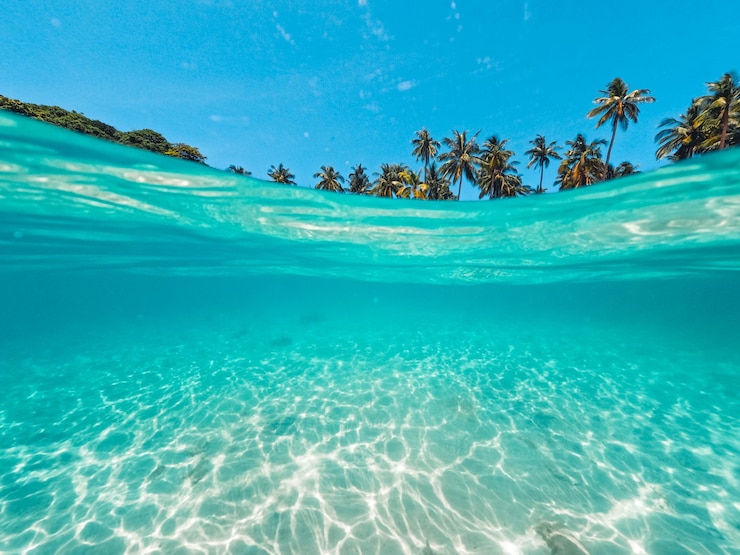 Foto tropical island palm e sott'acqua