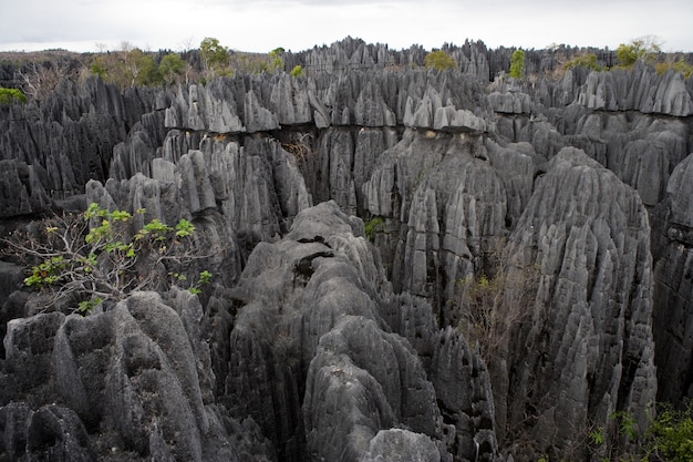 Tsingy de Bemaraha. Tipico paesaggio. Madagascar.