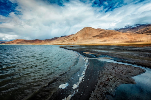 Tso kar lago salato fluttuante in Himalaya