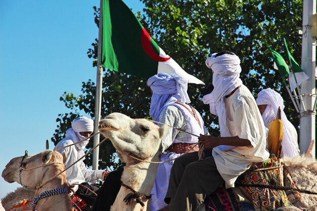 tuareg su cammello, Algeria