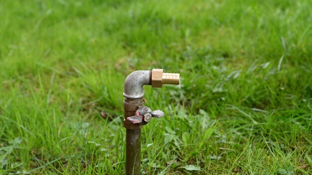 Tubo dell'acqua per tubo flessibile in erba.