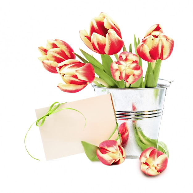 Tulipani a righe rosse e biglietto di auguri con