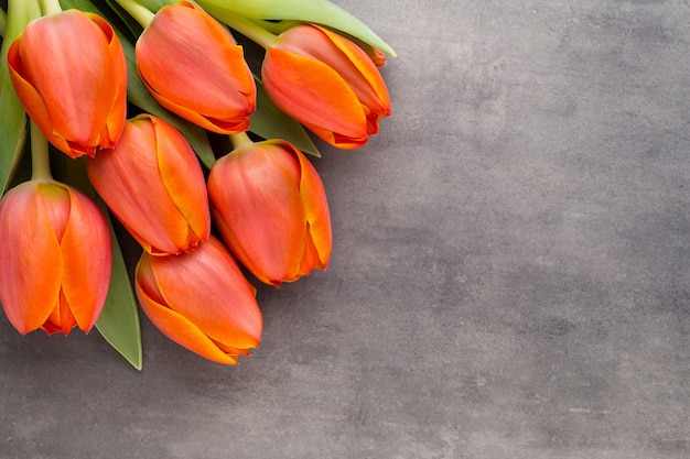 Tulipani, arancione su sfondo grigio.