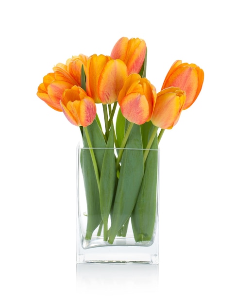 Tulipani arancioni in vaso di fiori