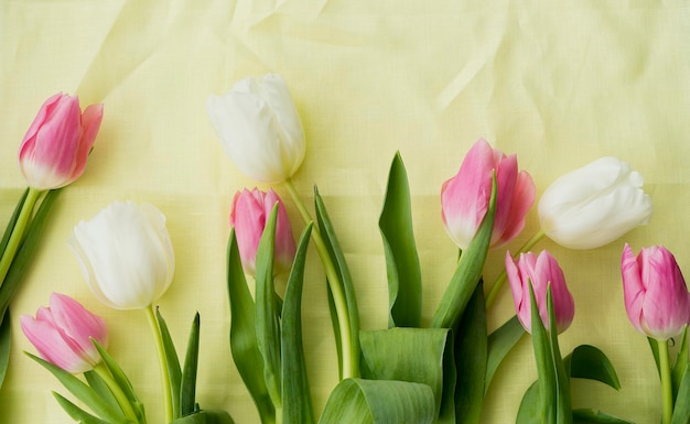 Tulipani bianchi e rosa su sfondo giallo Flat lay