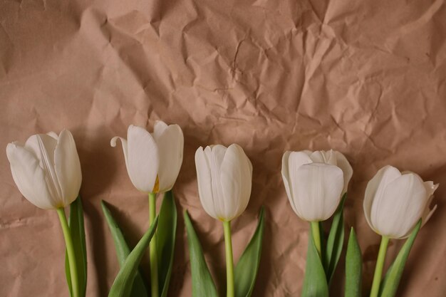 Tulipani bianchi su sfondo di carta marrone Tulipani Fiori di primavera Bouquet Foto per una cartolina