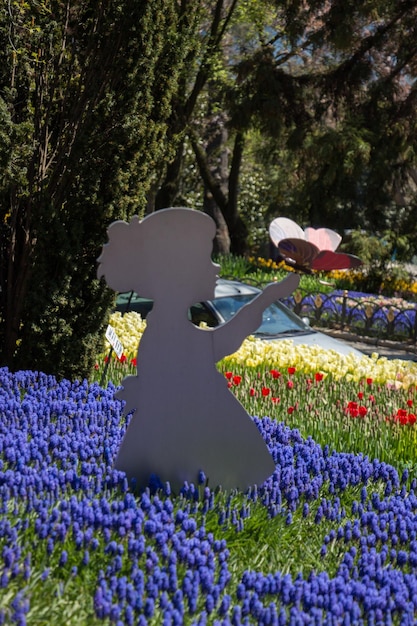 Tulipani che fioriscono in primavera