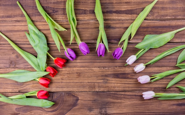 Tulipani che formano la cornice