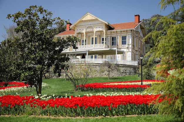 Tulipani colorati in Emirgan Park Istanbul Turchia