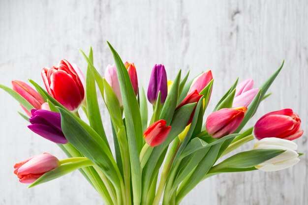 Tulipani colorati sulla superficie grigia