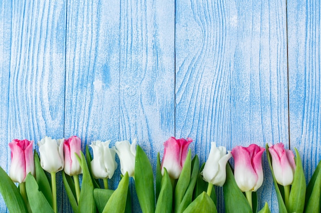 Tulipani con amaretti su fondo di legno blu. tulipani rustici.