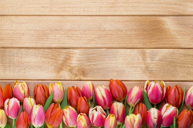 Tulipani di Pasqua della primavera nel secchio su fondo d'annata di legno.