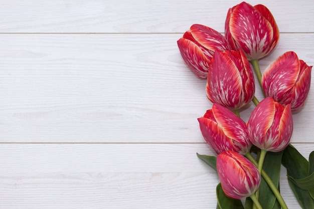 Tulipani fiore Un mazzo di cinque tulipani a strisce rossi gialli su un pavimento di legno bianco.