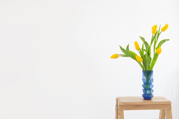 Tulipani gialli in vaso di vetro blu su sfondo bianco