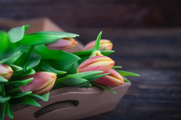 Tulipani gialli rossi delicati freschi dei fiori su una parete di legno scura