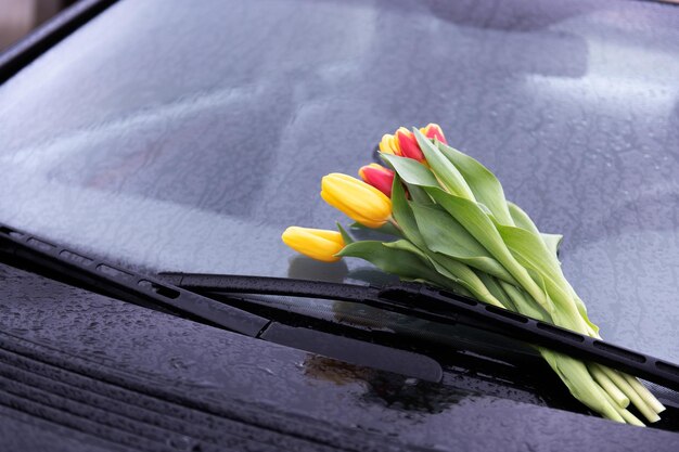 Tulipani gialli rossi sotto la pioggia sul parabrezza dell'auto come regalo e dichiarazione d'amore