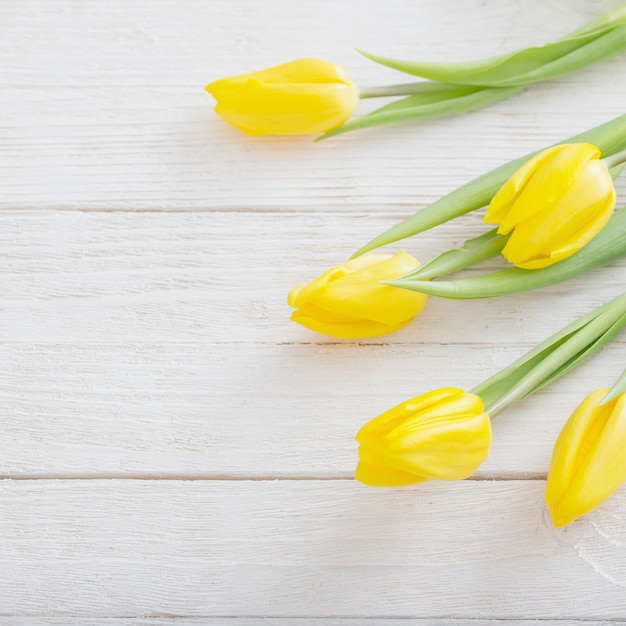 Tulipani gialli su fondo di legno bianco