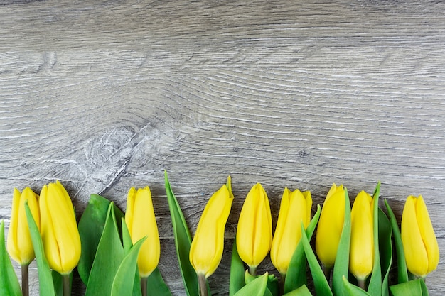 Tulipani gialli su fondo in legno