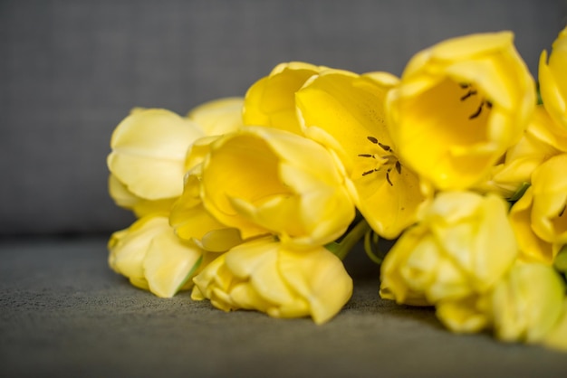 Tulipani gialli su sfondo grigio con bouquet di composizione giorno della donna copyspace