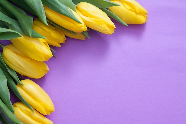 Tulipani gialli su superficie viola