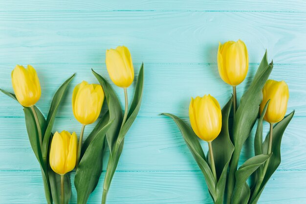 Tulipani gialli su un fondo di legno blu