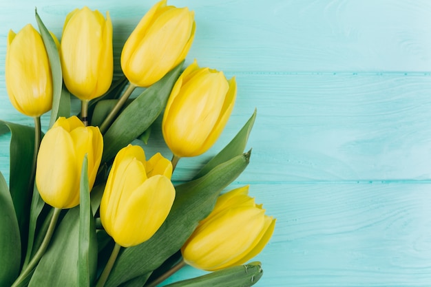 Tulipani gialli su un fondo di legno blu