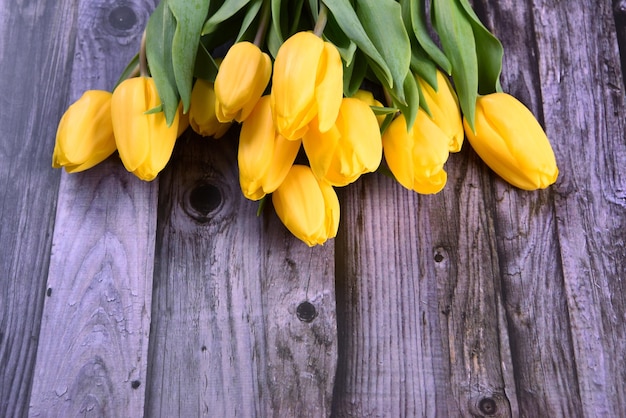 Tulipani gialli su un fondo di legno blu