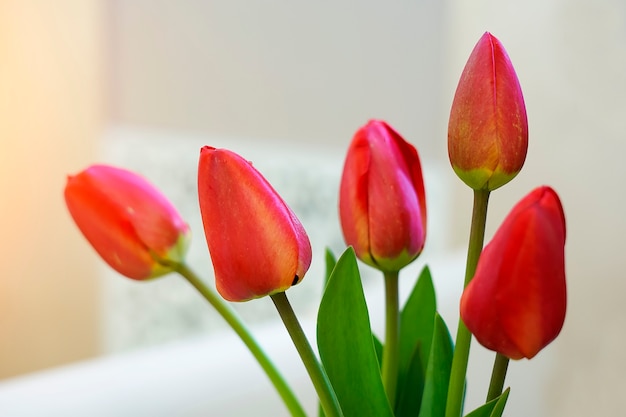 Tulipani in un vaso sul tavolo su uno sfondo giallo.