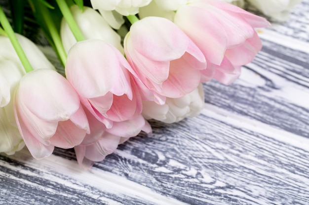 Tulipani molto teneri rosa e bianchi su bianco, Grey Wooden Backgrou