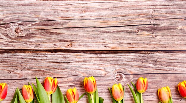 Tulipani primaverili su fondo in legno