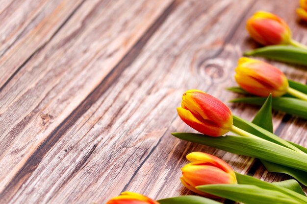 Tulipani primaverili su fondo in legno