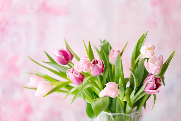 Tulipani primaverili su sfondo rosa Biglietto di auguri per la festa della mamma