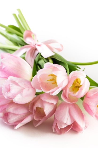 Tulipani rosa chiaro su sfondo bianco.