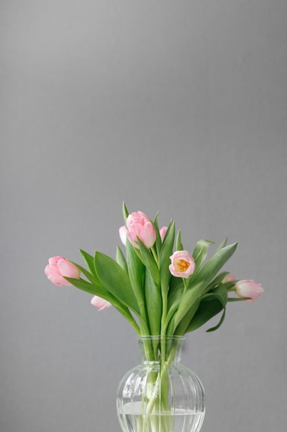 Tulipani rosa con foglie verdi in un vaso di vetro